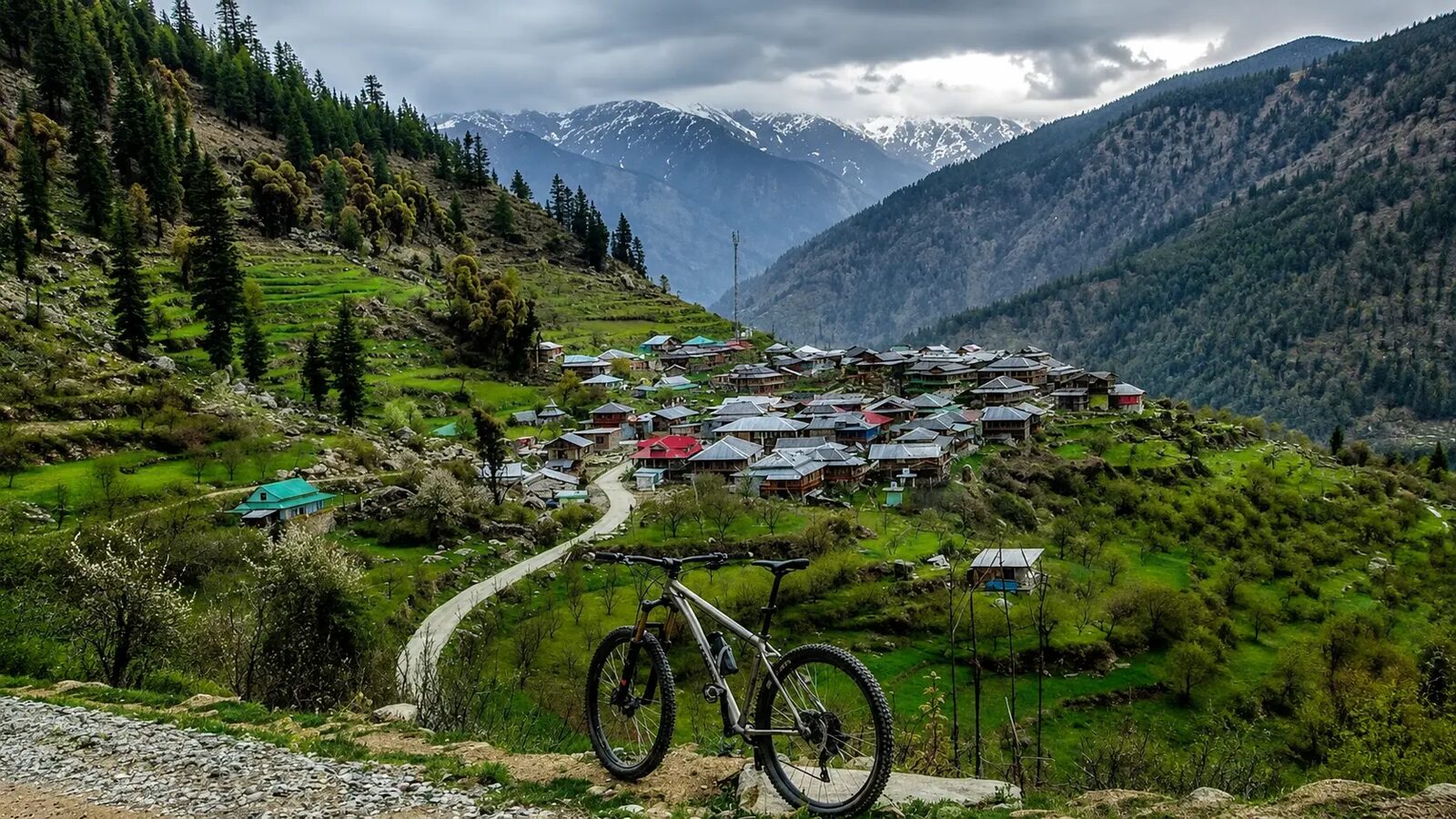 Forest & high passes